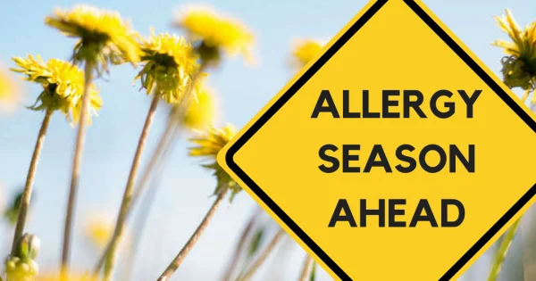 allergy season hollywood 600x315